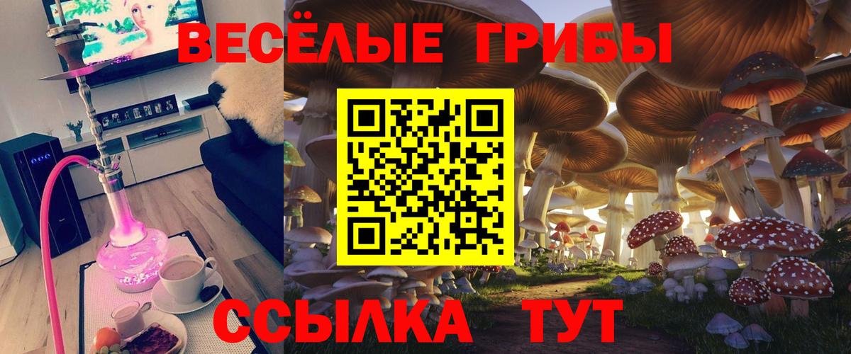 Королёв  Галлюциногенные грибы мухоморы  Галлюциногенные грибы ЛСД  Вход с VPN 